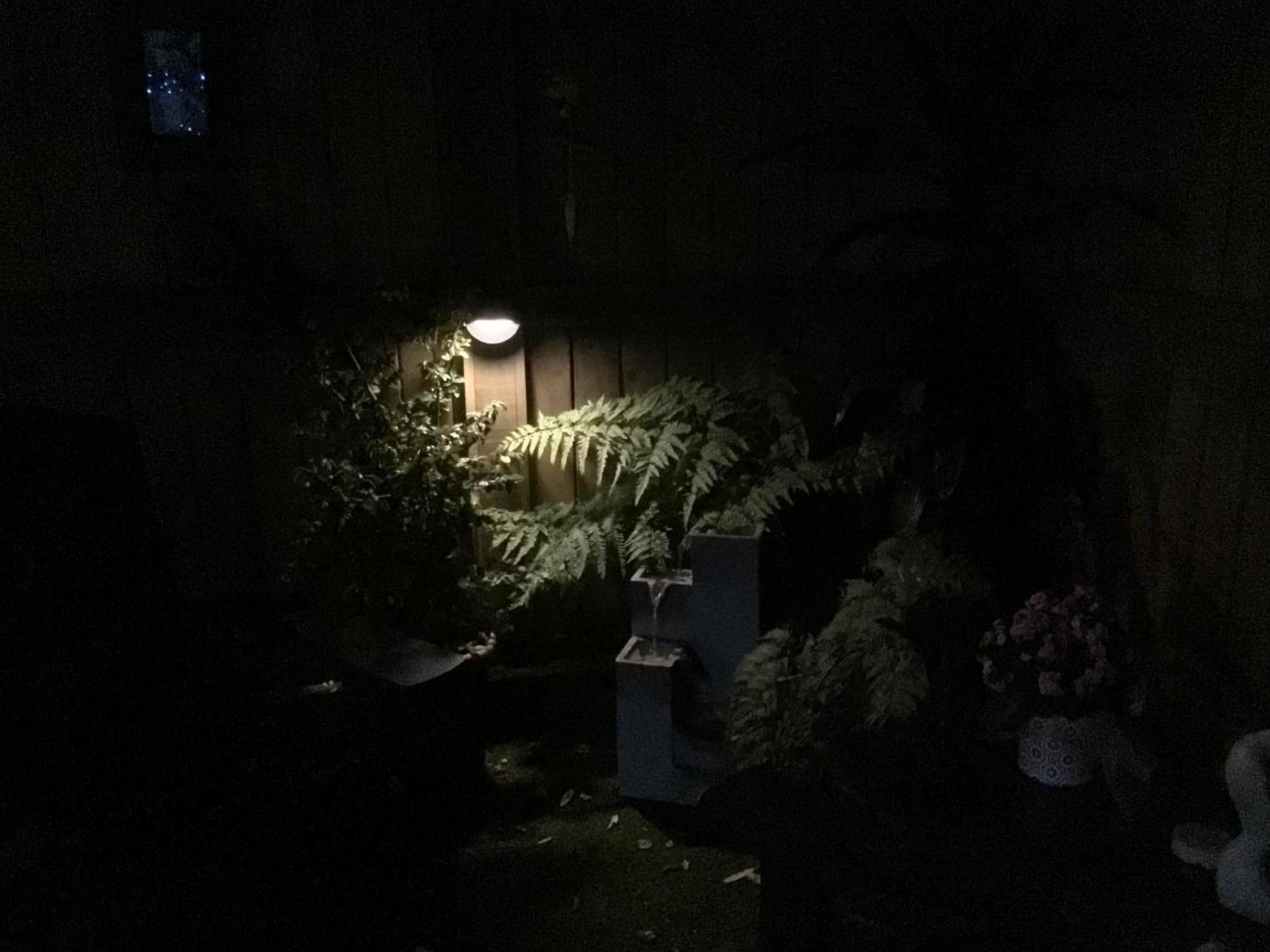 Tranquil Garden Studio Tauranga Exterior photo
